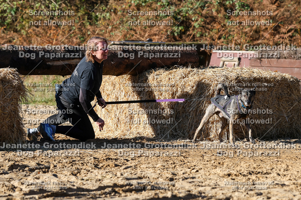 Dog Paparazzi - Strongdog 10-25-1972 | Dog Paparazzi Jeanette Grottendiek Fotografie & Videografie - Realisiert mit Pictrs.com