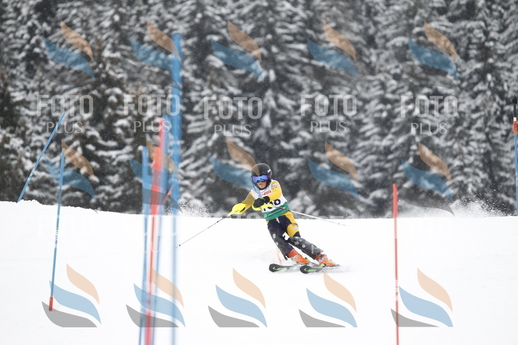 A2010 | holidayphoto