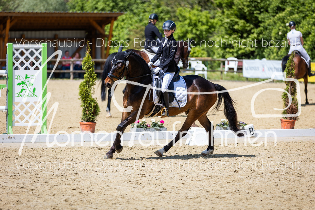 Donop24-RWB-013 | MomenTaufnahmen Pferdesportfotos