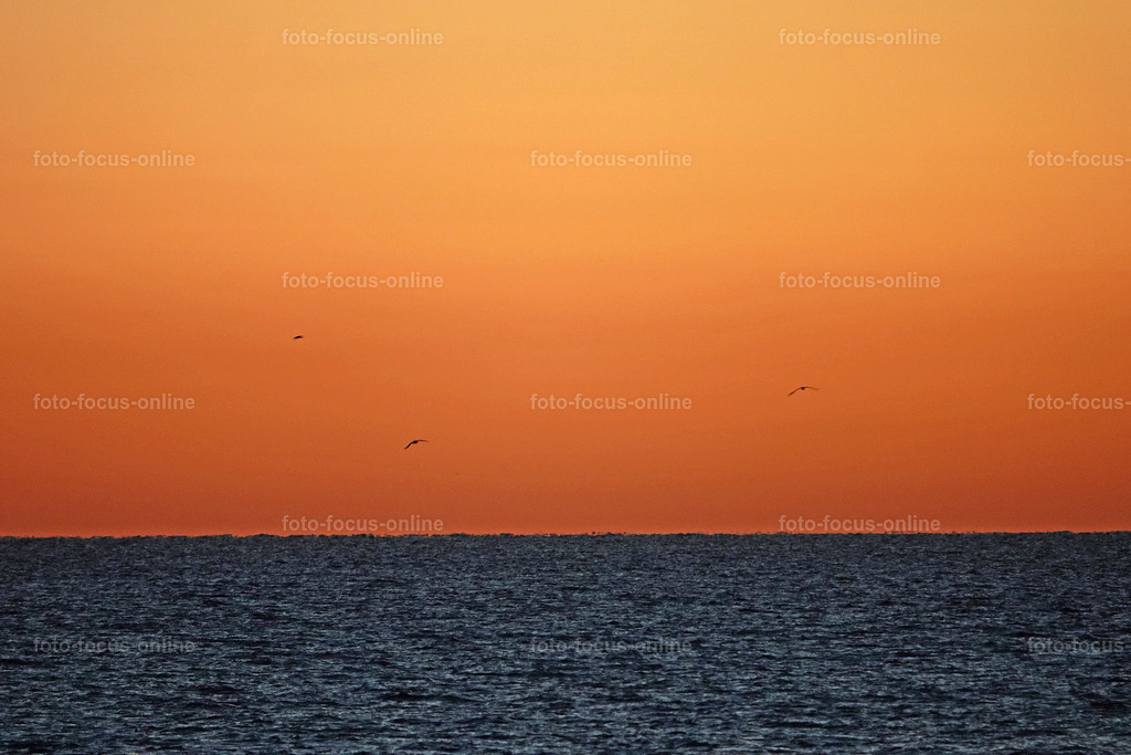Daybreak in the Bay of Lübeck | foto-focus-online