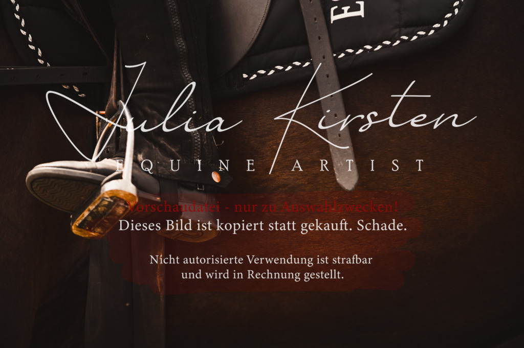 DSC_6246 | Pferde- und Turnierfotografie in Westsachsen. Pferdeportraits, Auftragszeichnungen und intuitive Kunst.