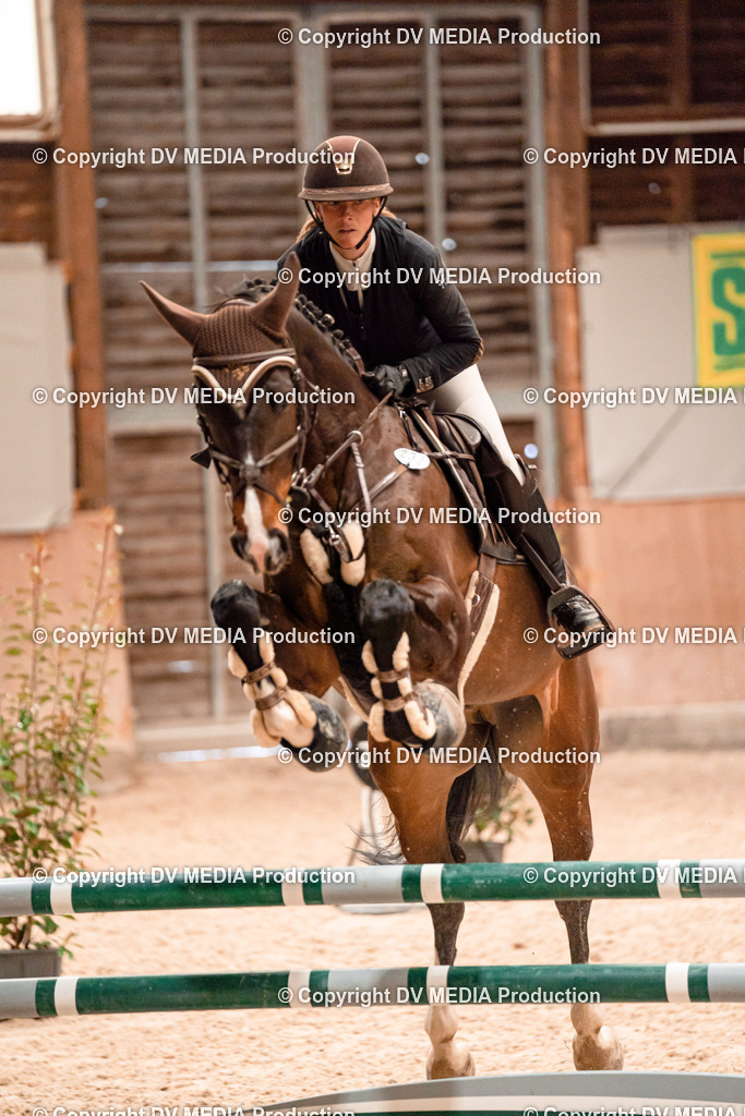 Springen Tag 1-320 | dv-media-shop - Realisiert mit Pictrs.com