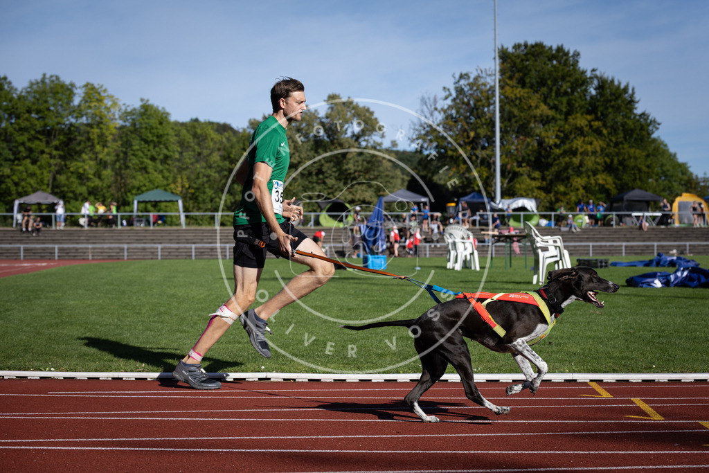Pfotenfotografie_DV3A9448 | Hundefotografie, Tierfotograf, Pfotenfotografie, Fotoshooting Hund, Hunde Portrait, Hundesport, Hundeportraits, Heideshooting, Hunde, Sportfotograf, Hundefotograf, Turnierhundsport, THS,  - Realisiert mit Pictrs.com