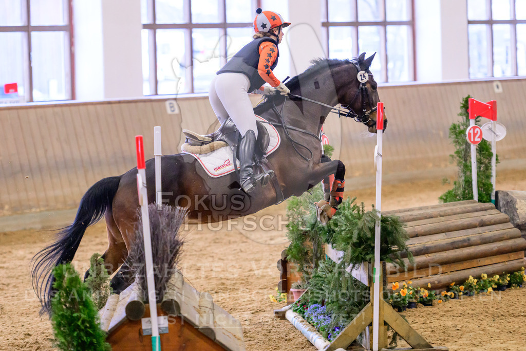 29032026-Schwaiganger-Prfg03-2-0233 | Fokus Hufschlag Fotografie - Realisiert mit Pictrs.com