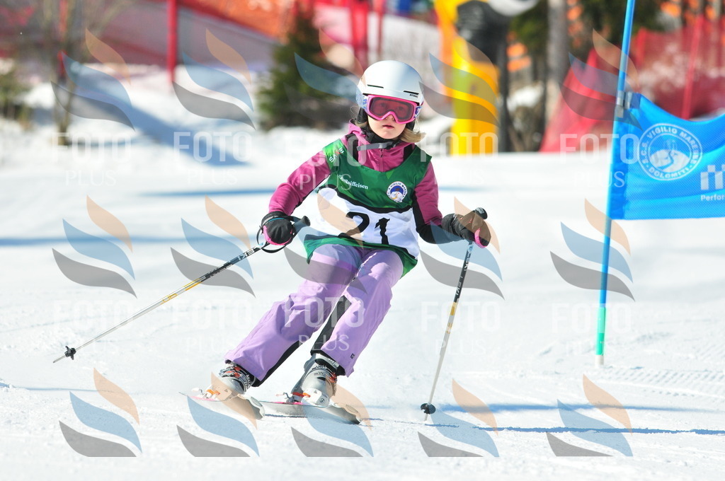 C1953 | holidayphoto