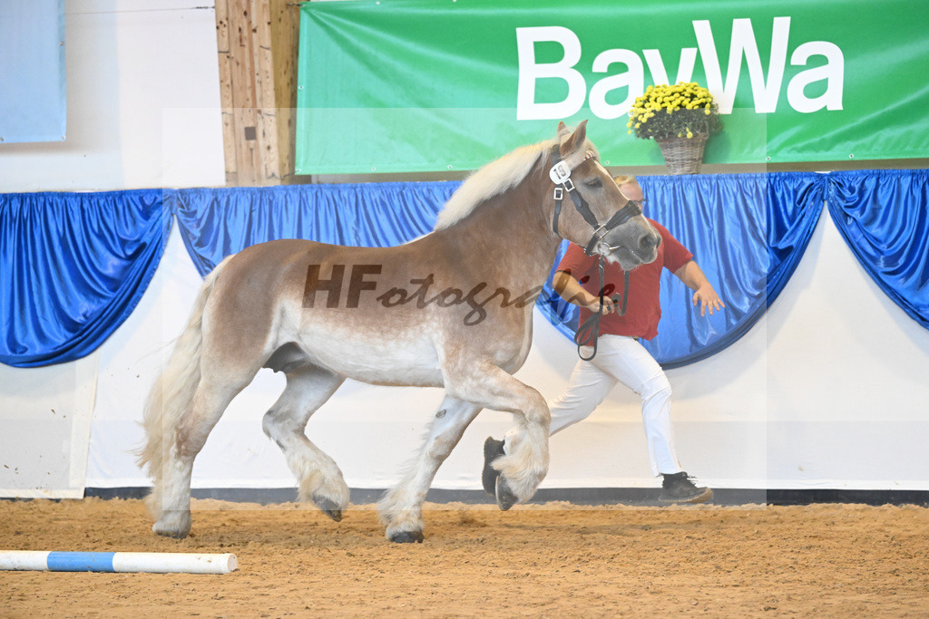 Kat-Nr. 19 Havanna_ZG Biegel_53221050 | hf-fotografie - Realizzato con Pictrs.com