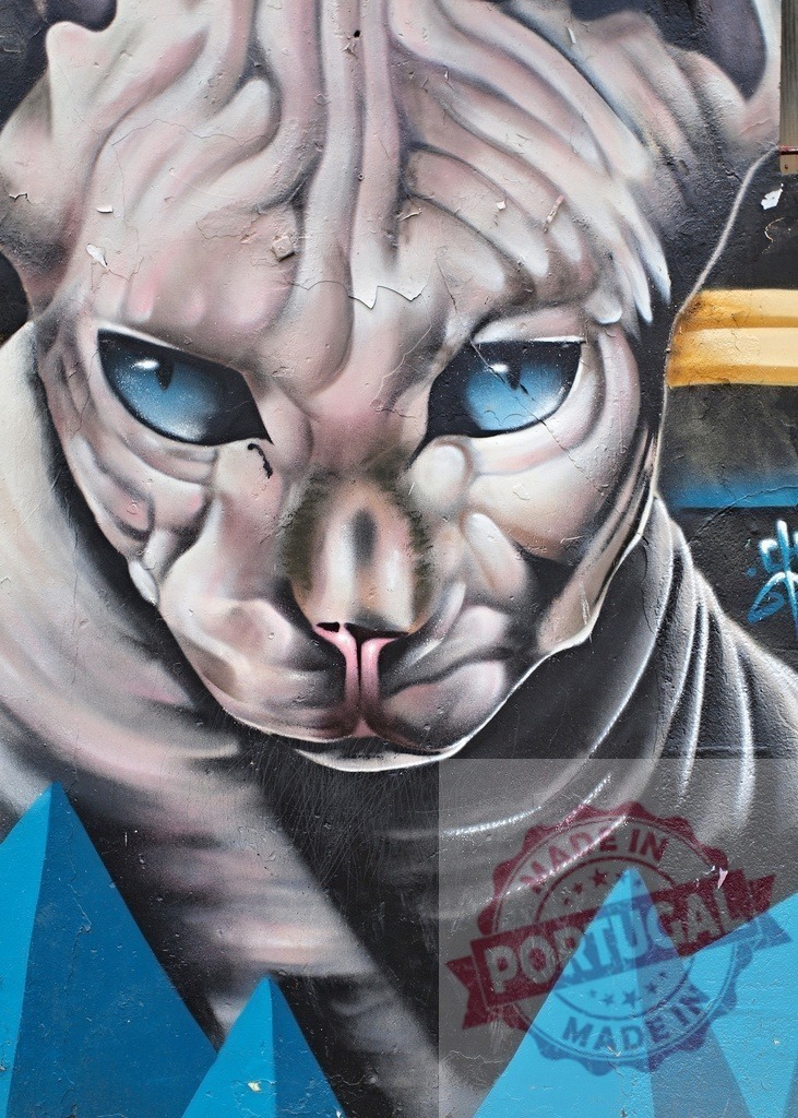 Sphynx cat graffiti with blue pyramids street art | Blue-eyed Sphynx cat mural painted on a textured wall with blue geometric shapes - Realized with Pictrs.com