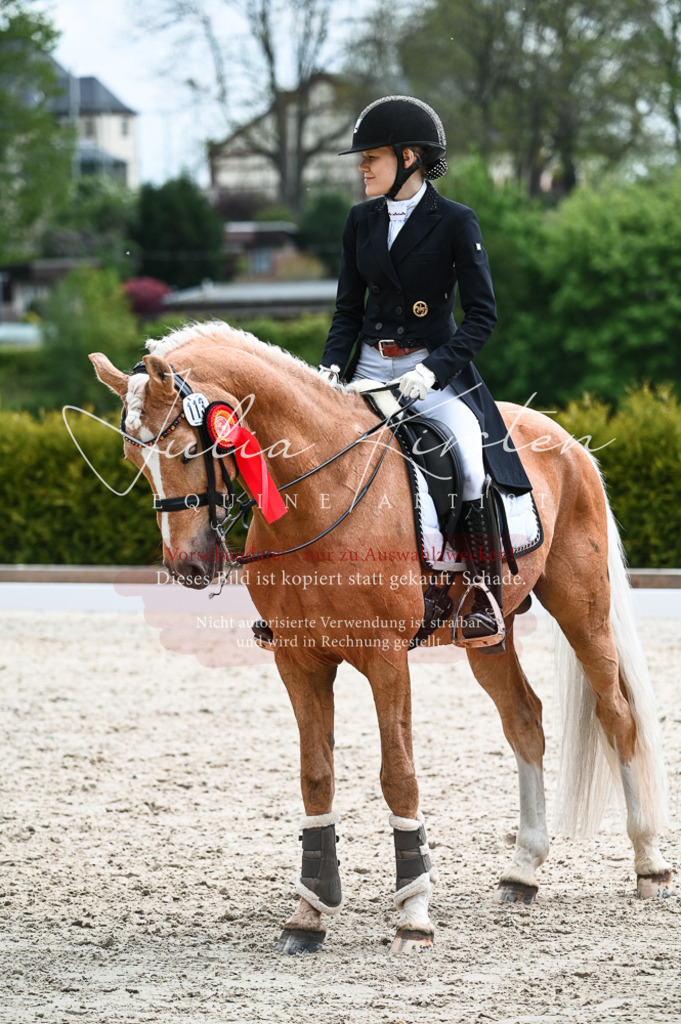 20230514_JK-Röhrsdorf-19-362 | Pferde- und Turnierfotografie in Westsachsen. Pferdeportraits, Auftragszeichnungen und intuitive Kunst.