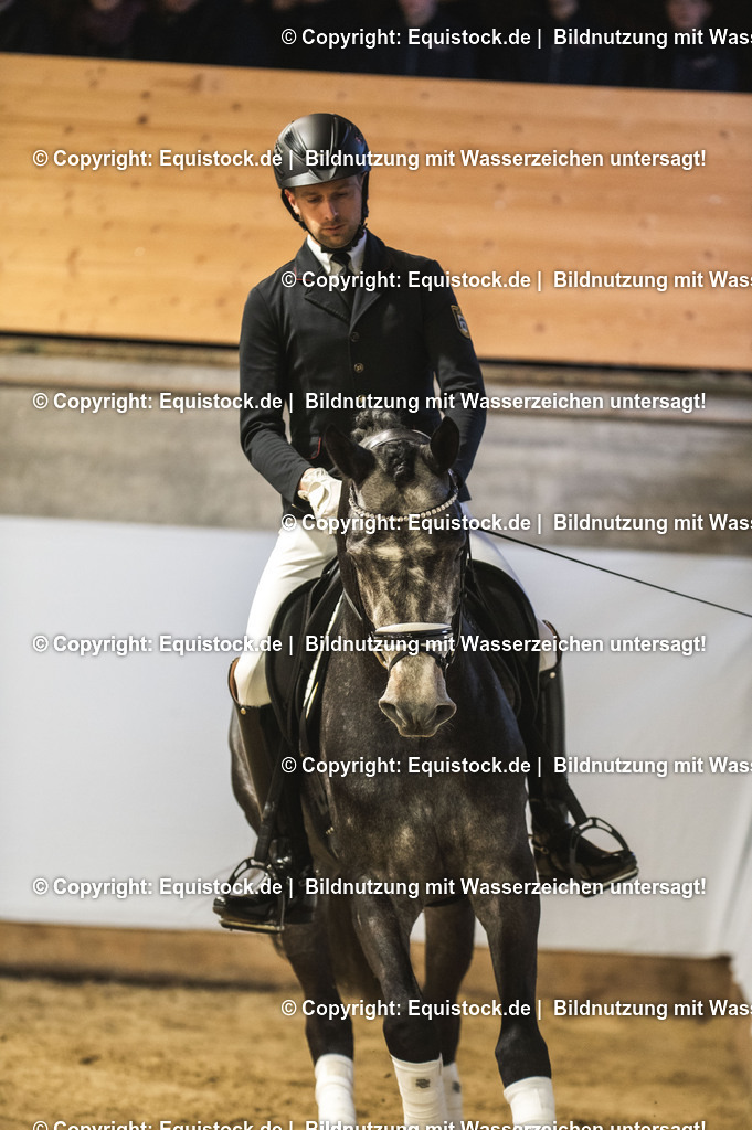 20240302_Hengstvorstellung_Marbach_TOMsPiC_0189 | equistock