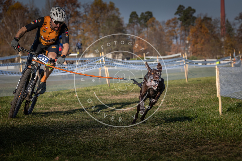 CaniXpix_0L8A6592 | Hundefotografie, Tierfotograf, Pfotenfotografie, Fotoshooting Hund, Hunde Portrait, Hundesport, Hundeportraits, Heideshooting, Hunde, Sportfotograf, Hundefotograf, Turnierhundsport, THS,  - Realisiert mit Pictrs.com