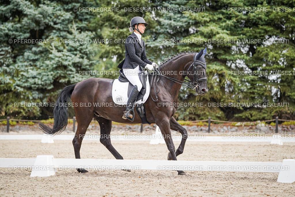 DSC03593 | Pferdegrafie