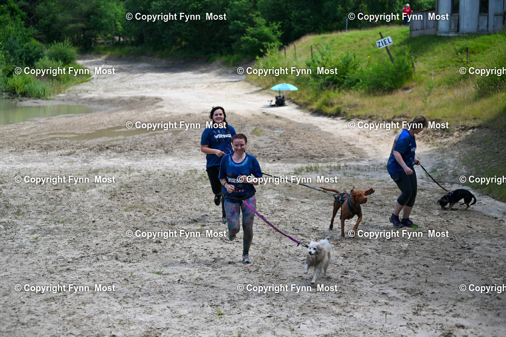 DSC_3446 | Hallo und herzlich Willkommen auf meiner Shop-Seite Fynn Most.

Ich wünsche Dir viel Spaß beim stöbern durch die Bilder, wenn Du Fragen hast oder Bilder vermisst, kannst du mir gerne eine Nachricht schreiben. - Realisiert mit Pictrs.com
