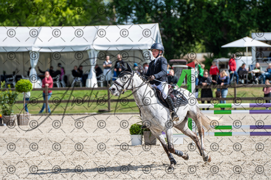 KPT_5110 | andre_photographic