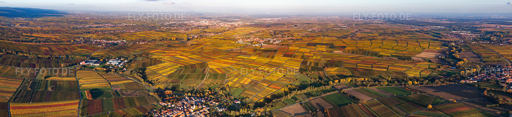 Luftbild: Panorama der Weinberge der südlichen Weinstraße von Heuchelheim bis Landau in Göcklingen im Bundesland Rheinland-Pfalz in Deutschland. Foto: IMG_60651-Pano.jpg vom 24.10.2013 durch Werner Riehm/FLY-FOTO.deAuflösung des Originals: 17430 x 4002 px
