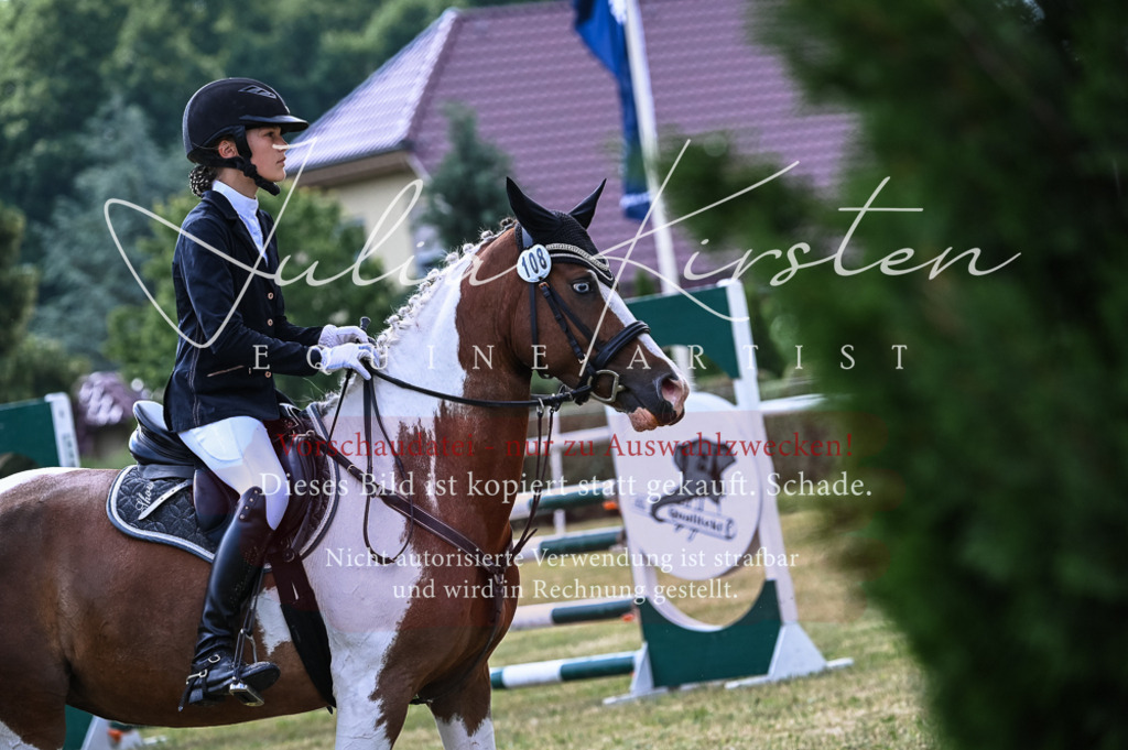 DSC_8536 | Pferde- und Turnierfotografie in Westsachsen. Pferdeportraits, Auftragszeichnungen und intuitive Kunst.