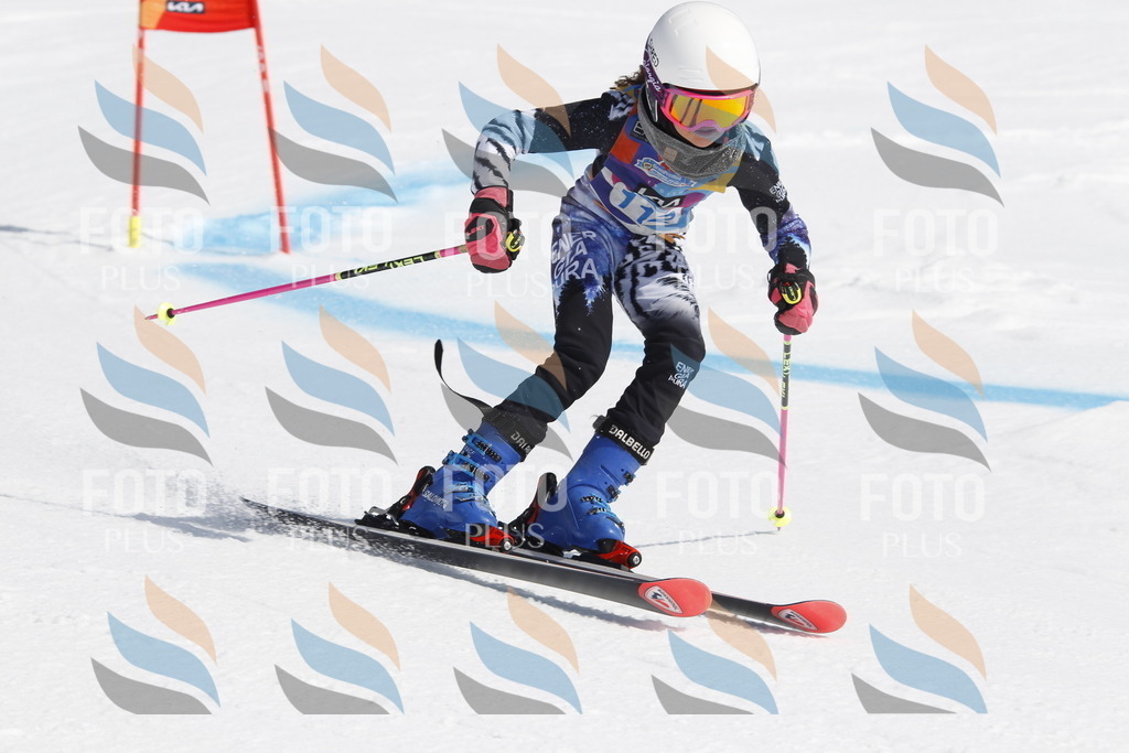 _U3G0546 | holidayphoto