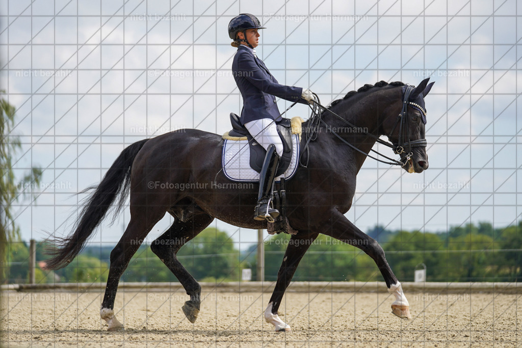 20230826-FAH05816 | Forstinning, 2023, Dressurturnier, Turniersportbilder, Turnierfotografen Bayern, Fotoagentur Herrmann, Reitsportfotografie, Turnierbilder