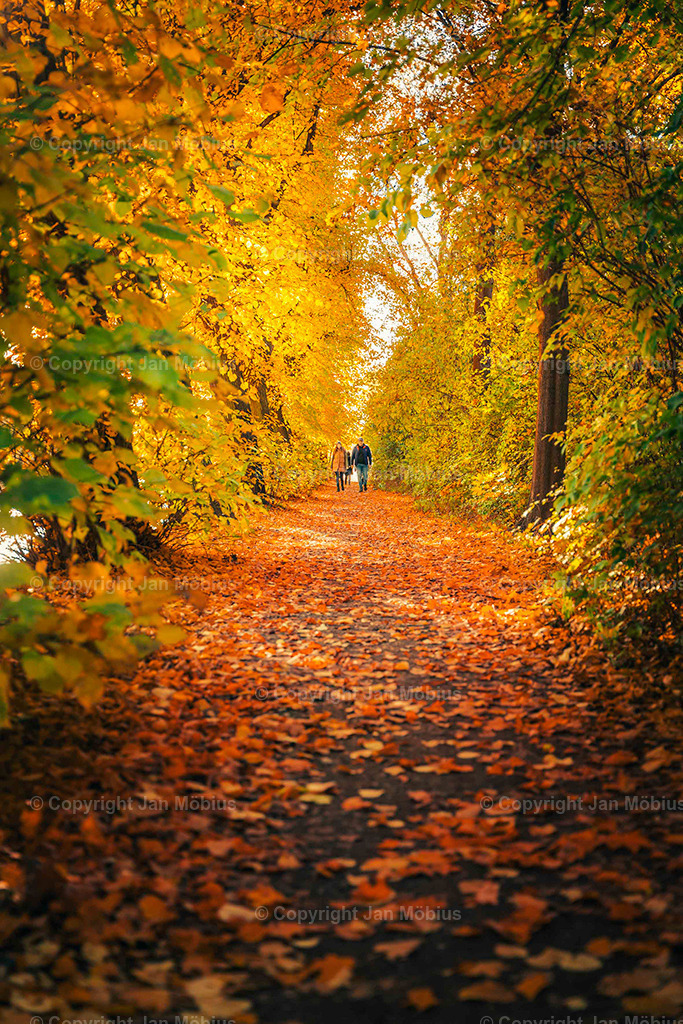 Clara Park | Der Clara-Zetkin-Park in Leipzig ist ein beliebter Ort für Natur, Sport und Erholung – perfekt für Spaziergänge, Jogging und entspannte Stunden im Grünen. - Realisiert mit Pictrs.com