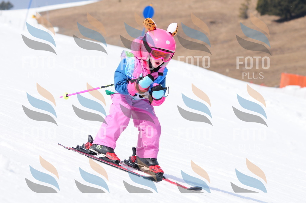 A3598 | holidayphoto