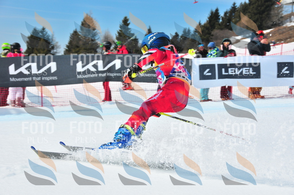 DSC_6554 | holidayphoto