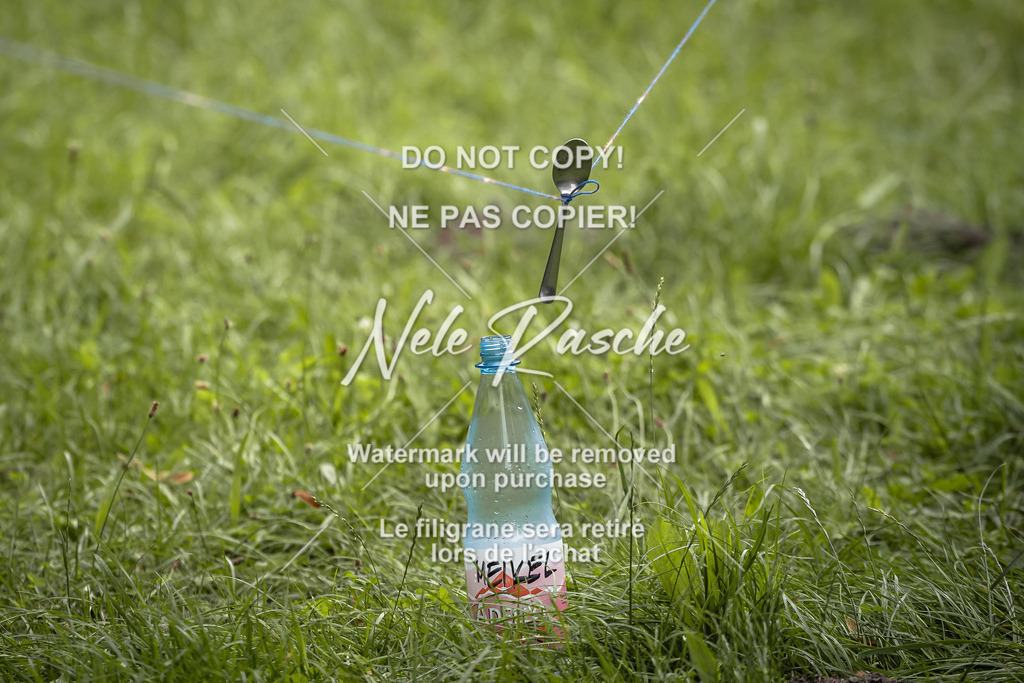 nelerasche_SaN_149 | nelerasche