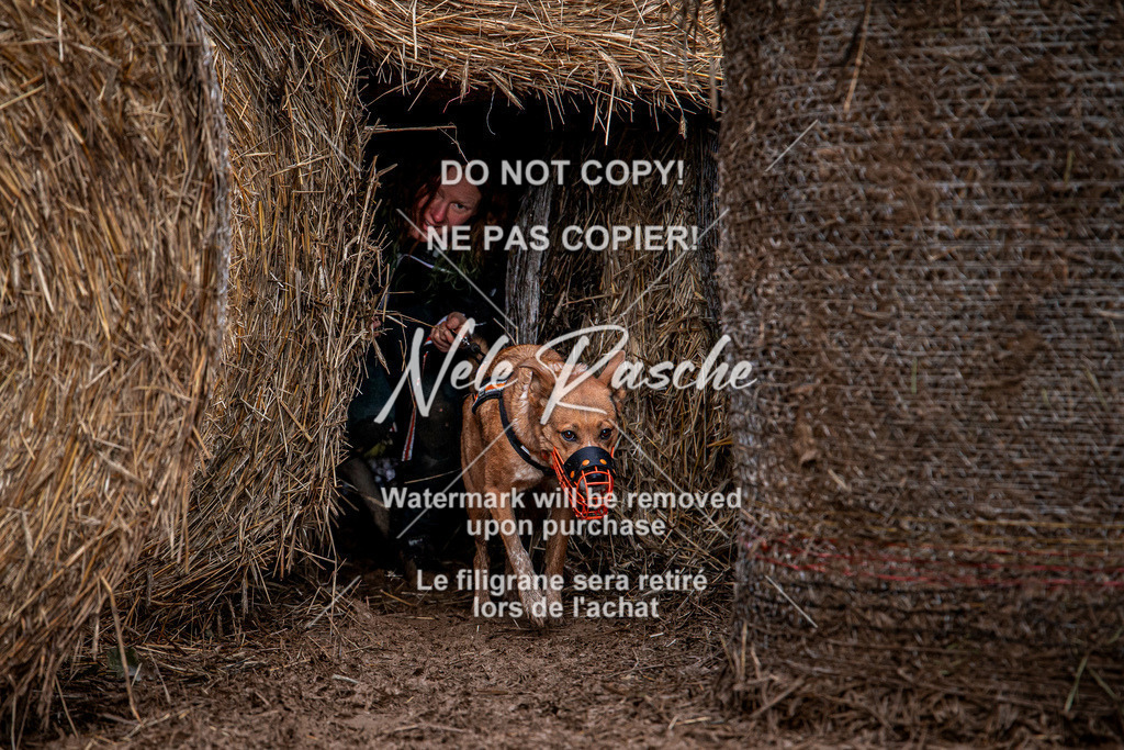 nelerasche_Hunsrück_So09-11_297 | nelerasche
