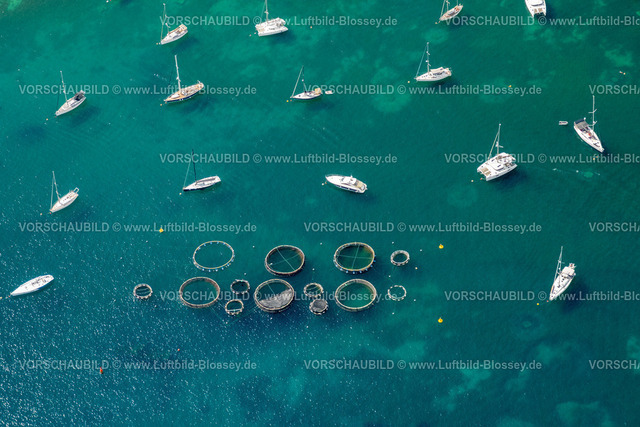 Mallorca230600485N | Luftbild, Segelboote und Katamarane im tiefblauen Meer, Fischfarm Aquakulturen im Hafen Port d'Andratx, Andratx, Balearen, Mallorca, Balearische Inseln, Spanien