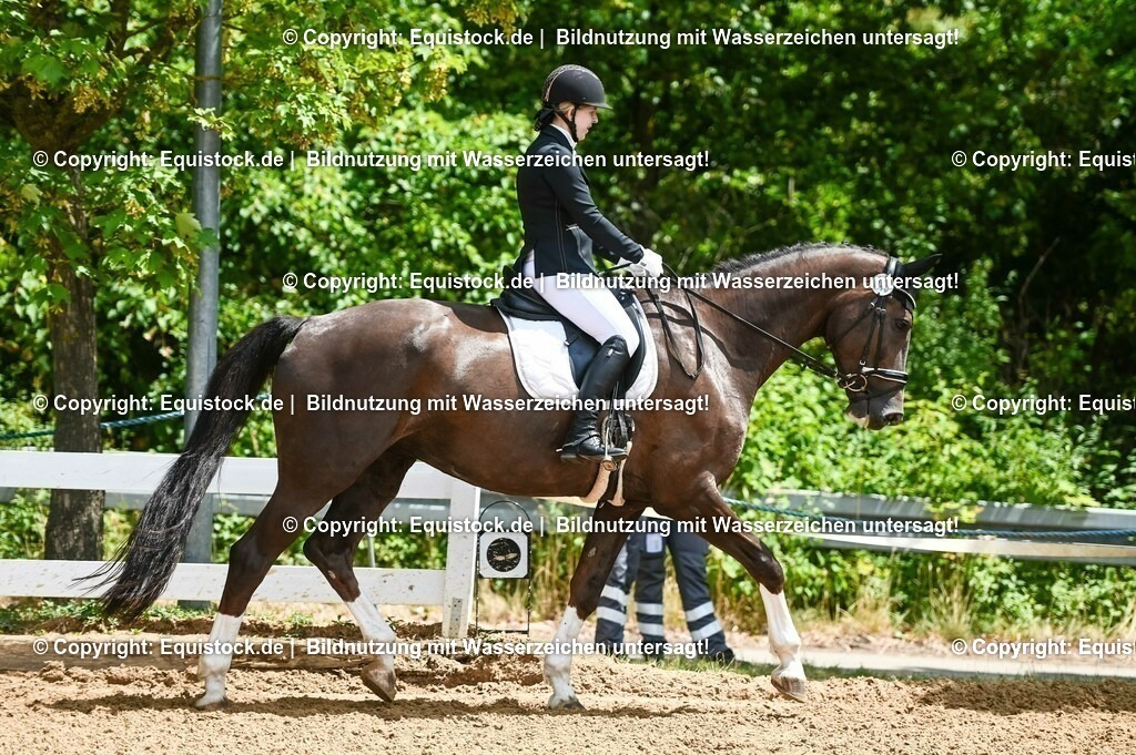 20230716_03_Dressurprfg. Kl.L - Tr._0160 | equistock