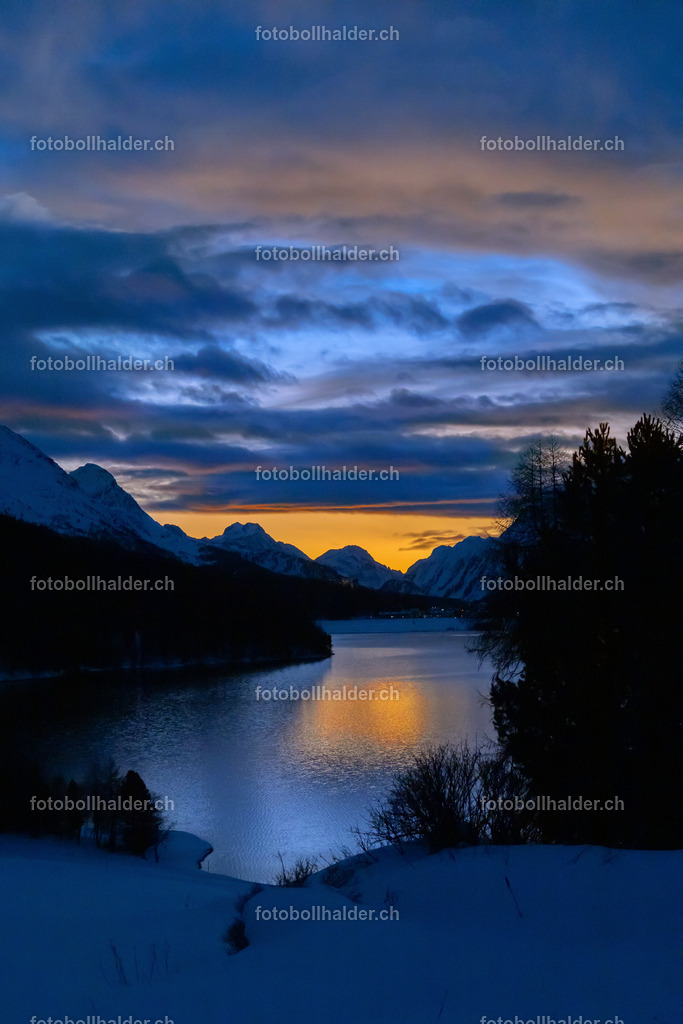 IMG_5153 | Foto Bollhalder 