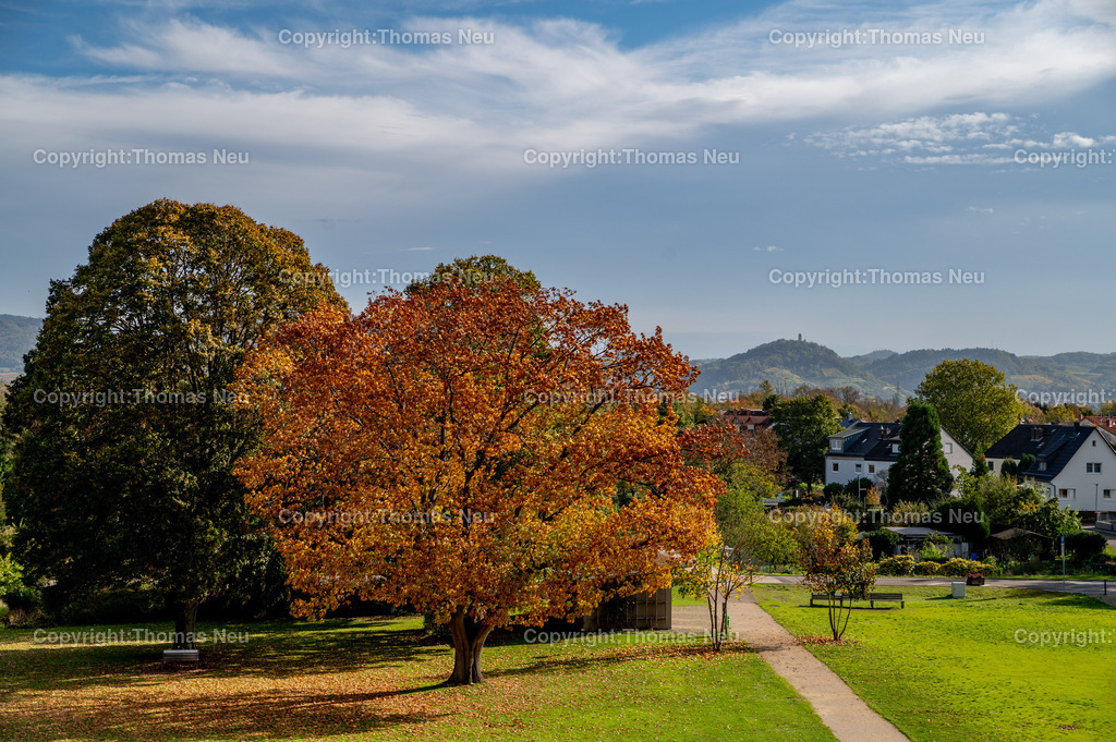 DSC_5098 | Lorsch, goldener Oktober, Blick vom Klostergelände in Richtung Bergstrasse, ,, Bild: Thomas Neu