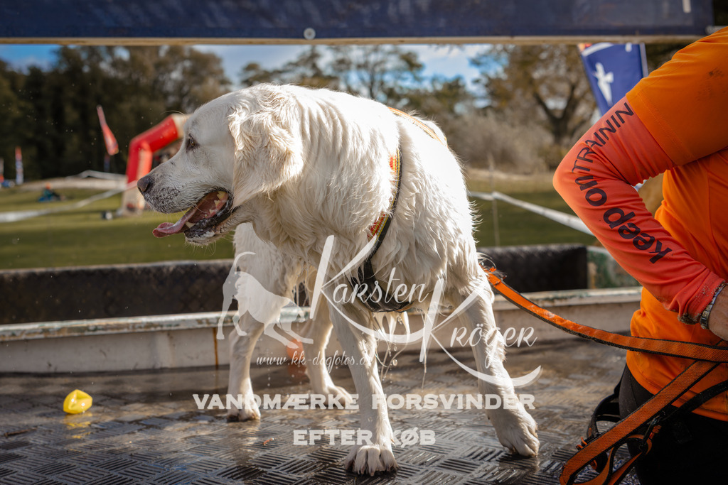 1418_ZZ94175-2 | kk-dogfotos