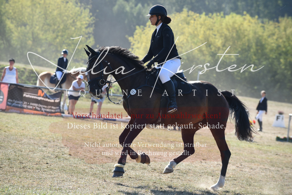 DSC_5923 | Pferde- und Turnierfotografie in Westsachsen. Pferdeportraits, Auftragszeichnungen und intuitive Kunst.