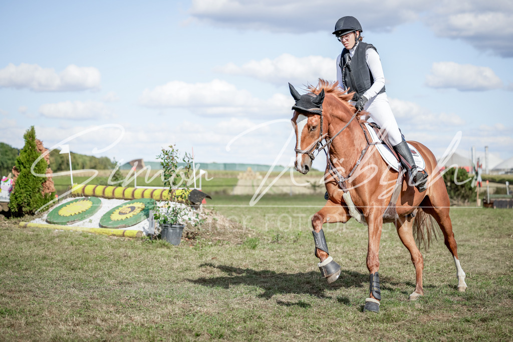 20250906-_3LI7258 | Tierfotografie Pferde, Hunde, Katzen, Haustiere.
Turnierfotografie Reitturniere, Reiten, Springreiten, Dressur in Hanau, dem Main-Kinzig-Kreis und dem Rhein-Main- Gebiet um Frankfurt