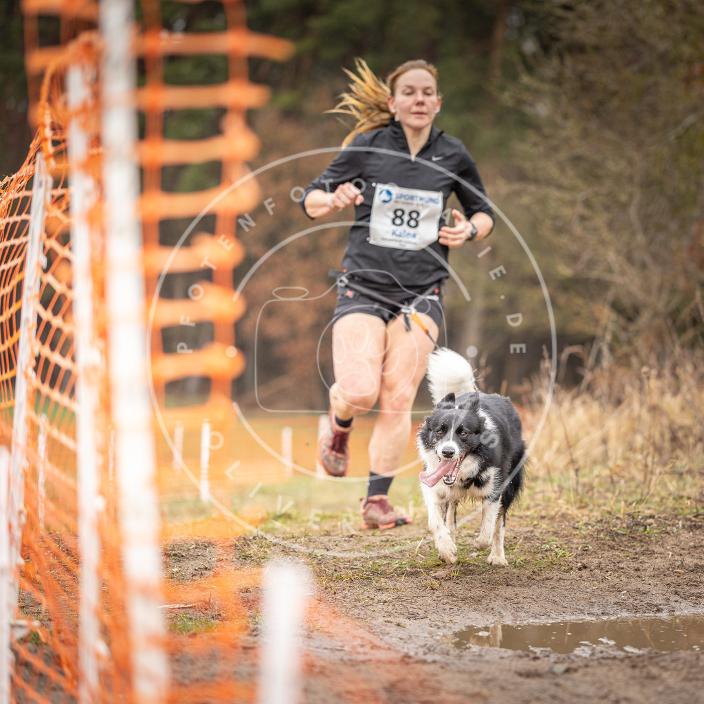 DV3A0389 | Hundefotografie, Tierfotograf, Pfotenfotografie, Fotoshooting Hund, Hunde Portrait, Hundesport, Hundeportraits, Heideshooting, Hunde, Sportfotograf, Hundefotograf, Turnierhundsport, THS,  - Realisiert mit Pictrs.com