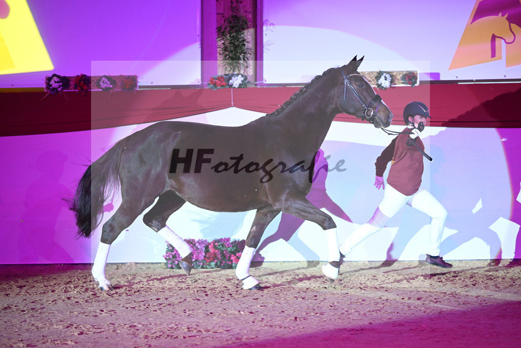 Ehrung Galneder u Kopp_1234403 | hf-fotografie - Realisiert mit Pictrs.com