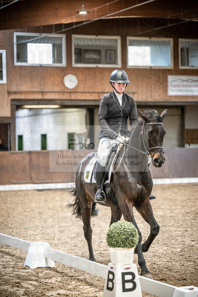 DOS_0706 | Entdecke hochwertige Reitturnierfotos von Foto Oger. Professionell, emotional und authentisch – jetzt Lieblingsmomente im Shop bestellen.Deutschlandweite Turnierfotografie. - Realisiert mit Pictrs.com