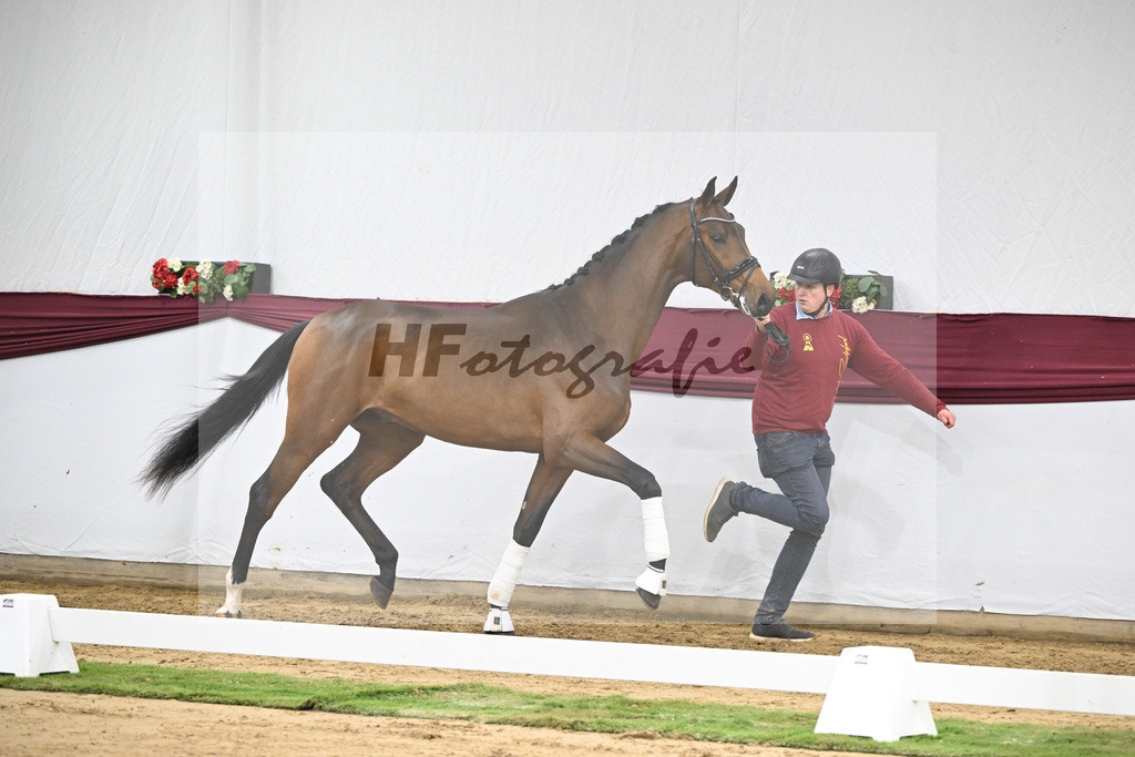 Kat-Nr. 43 Va Pensiero x Secret_Philipp Stuppert_47251492 | hf-fotografie - Realisiert mit Pictrs.com