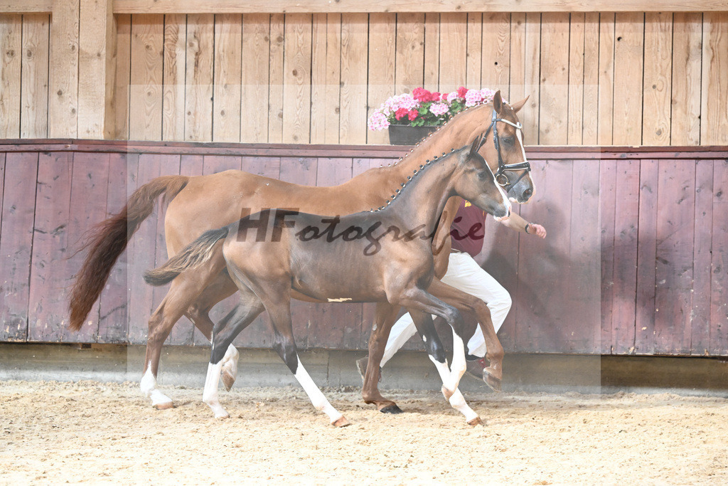 Kat-Nr. 1 HF Secret_Schindele_26230470 | hf-fotografie - Realisiert mit Pictrs.com