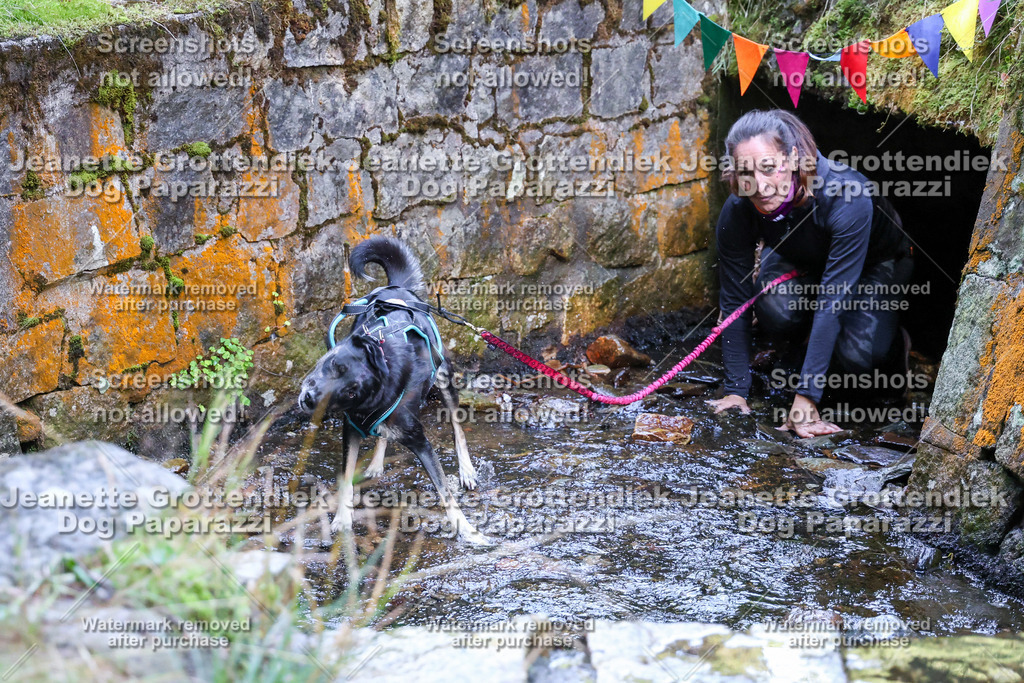 Dog Paparazzi -  TH 26-441 | Dog Paparazzi Jeanette Grottendiek Fotografie & Videografie - Realisiert mit Pictrs.com