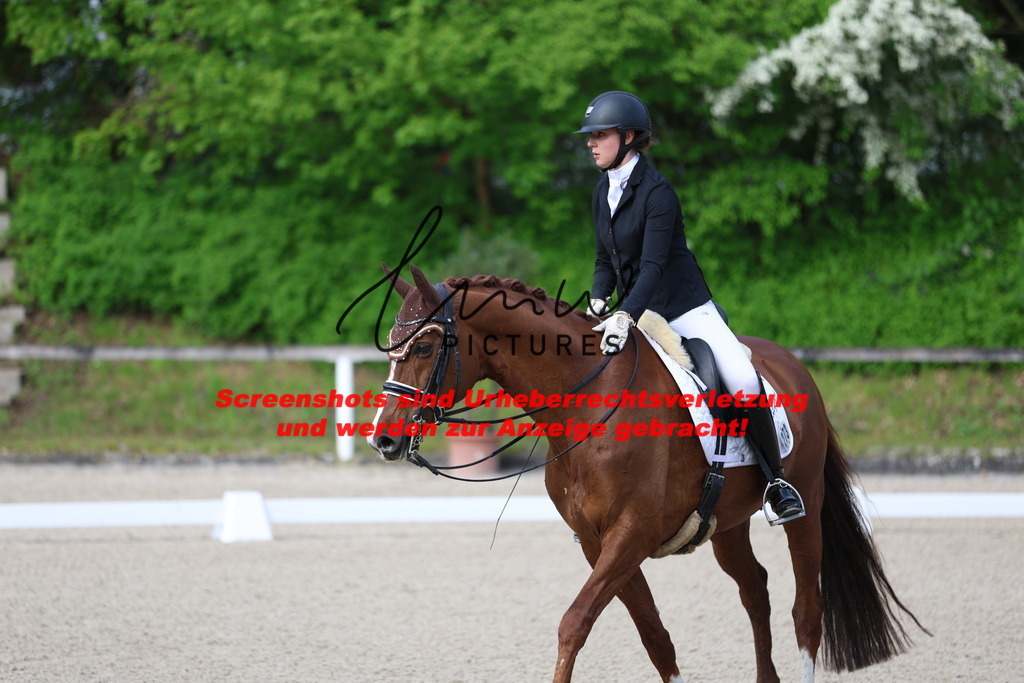 A40A3464 | lmwpictures - Realisiert mit Pictrs.com