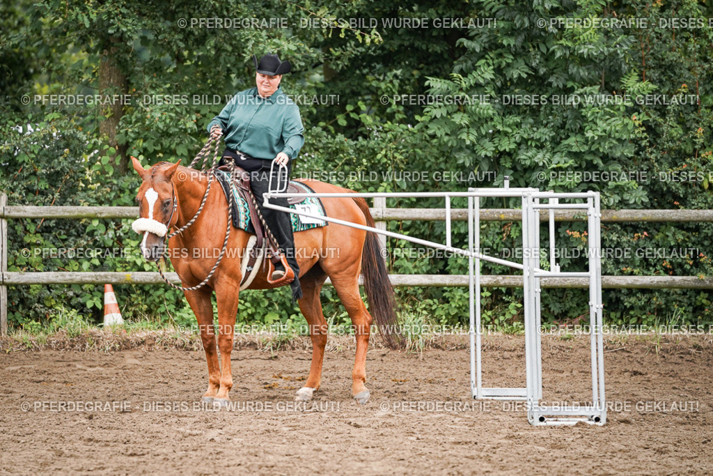 DSC02813 | Pferdegrafie