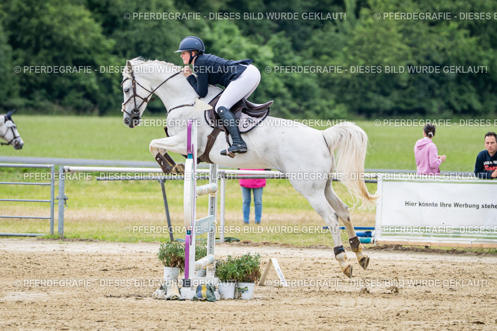 DSC05308 | Pferdegrafie