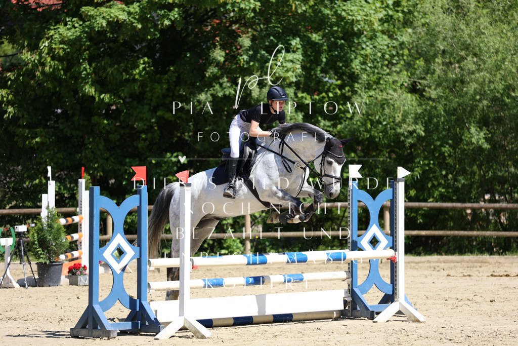 IMGS7528 | pl-fotografie