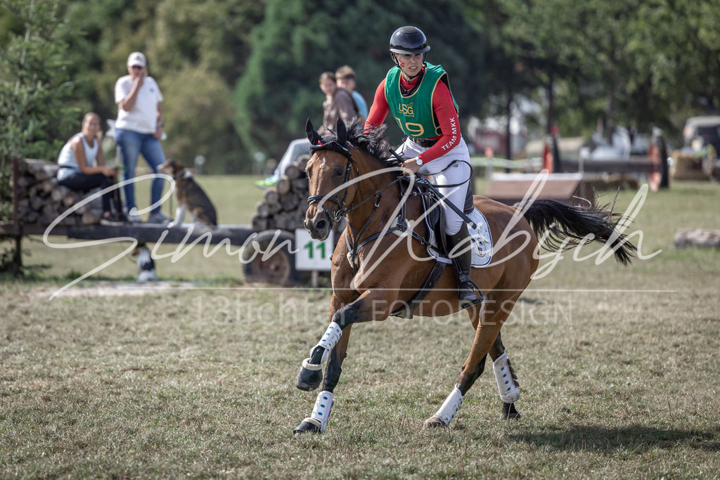 20250907-_3LI2069 | Tierfotografie Pferde, Hunde, Katzen, Haustiere.
Turnierfotografie Reitturniere, Reiten, Springreiten, Dressur in Hanau, dem Main-Kinzig-Kreis und dem Rhein-Main- Gebiet um Frankfurt