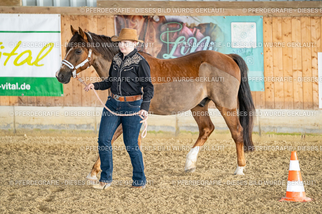 DSC07441 | Pferdegrafie