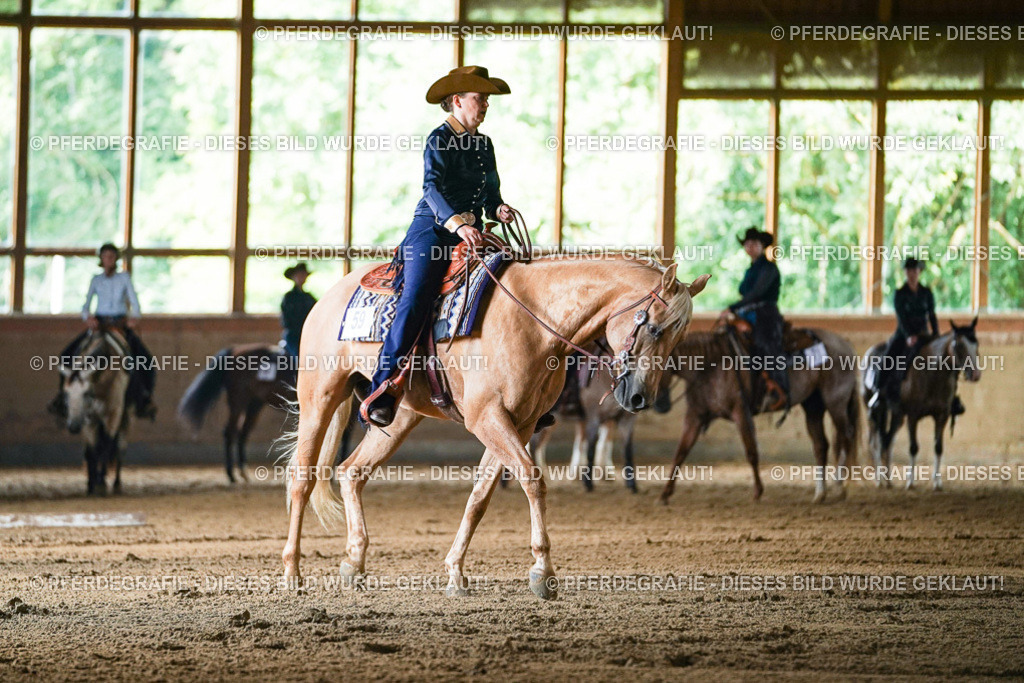 DSC05231 | Pferdegrafie