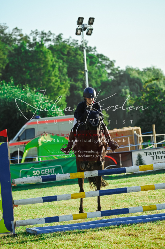 DSC_4077 | Pferde- und Turnierfotografie in Westsachsen. Pferdeportraits, Auftragszeichnungen und intuitive Kunst.
