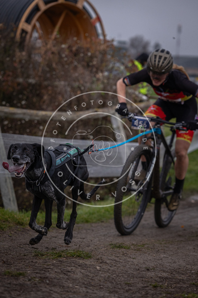 CaniXpix_0L8A1394 | Hundefotografie, Tierfotograf, Pfotenfotografie, Fotoshooting Hund, Hunde Portrait, Hundesport, Hundeportraits, Heideshooting, Hunde, Sportfotograf, Hundefotograf, Turnierhundsport, THS,  - Realisiert mit Pictrs.com
