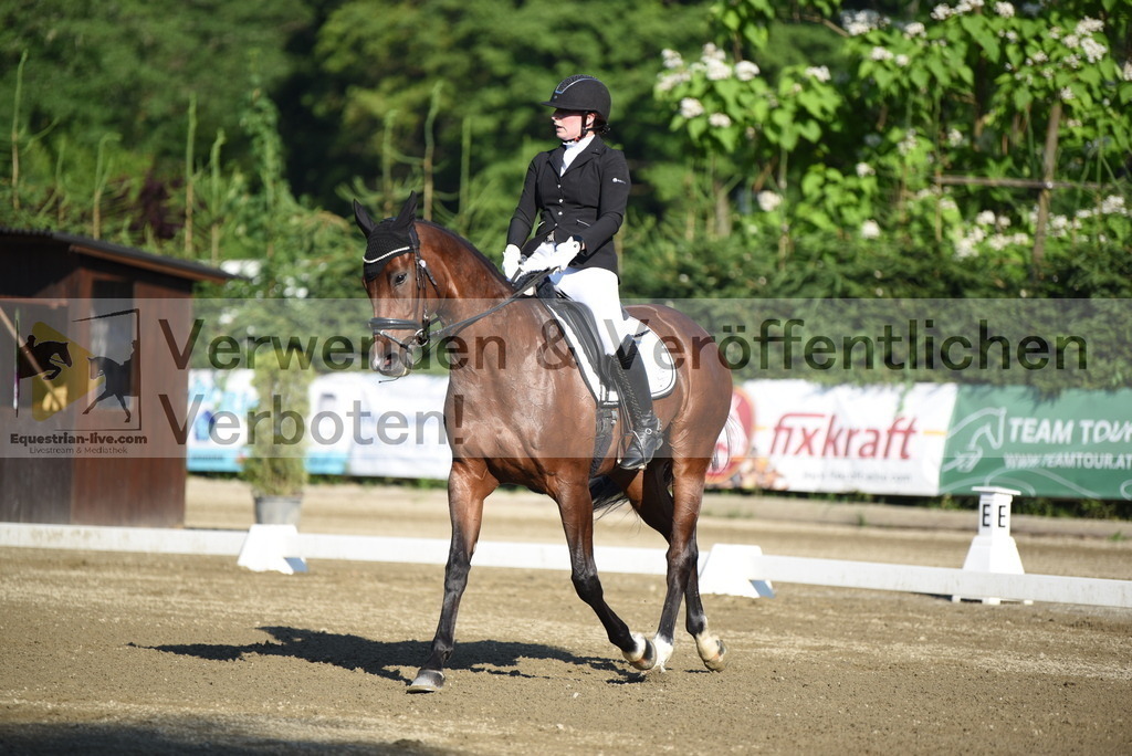 DSC_6816 | equestrian-live-com