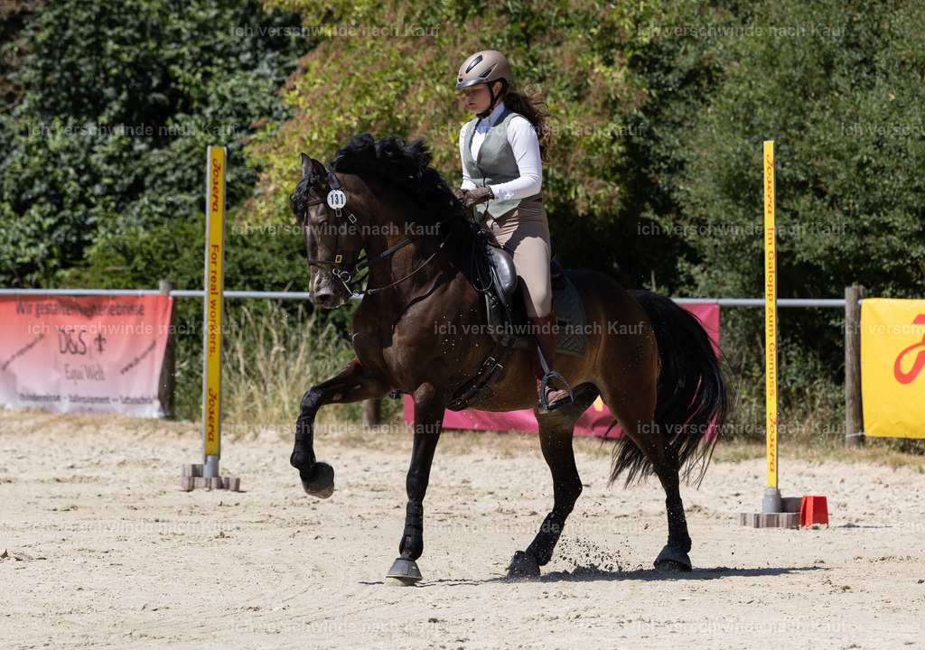 WM_Junioren_Speed_131_KerstinBernhardt-3 | working equitationturnier fotograf videograf stoibphotography marixx film working equitation deutschland reitsport turnierfotografie eventfotografie equestrian events